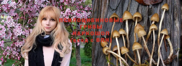 дурь Баксан